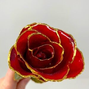 11” Real Rose Preserved in Lacquer & Trimmed in 24K Gold | Red Rose | Forever